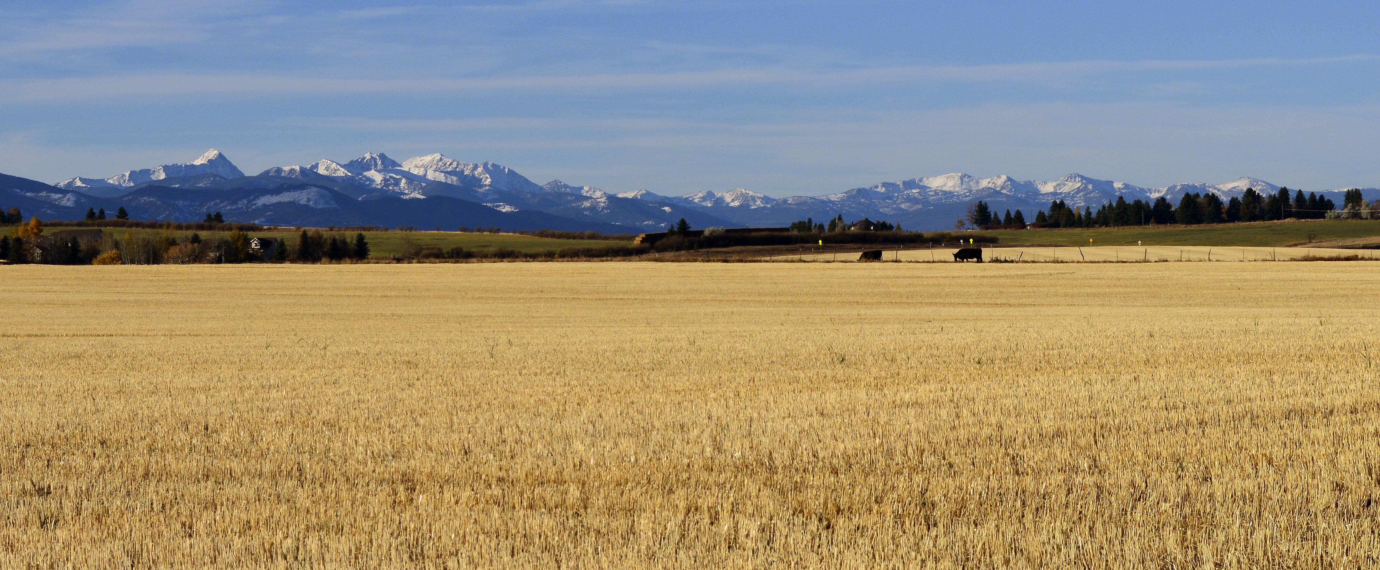 View of the Spanish Peaks from Bozeman